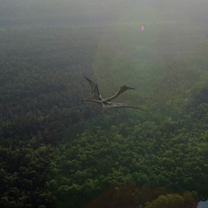 Photo Planète préhistorique