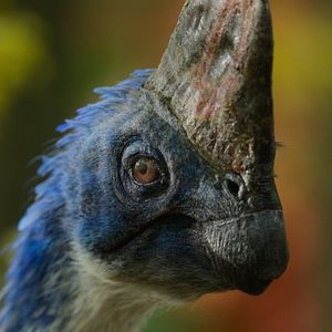 Photo Planète préhistorique