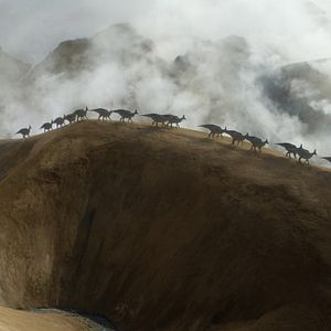 Photo Planète préhistorique