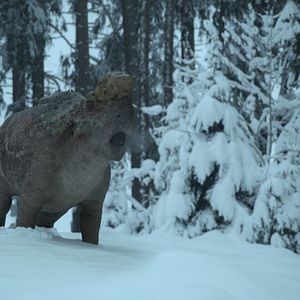 Photo Planète préhistorique