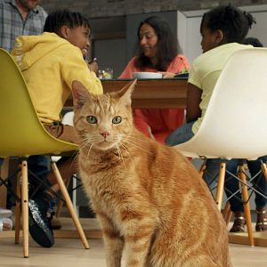 Photo Dans la peau de nos animaux