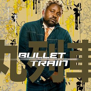 Photo Bullet Train