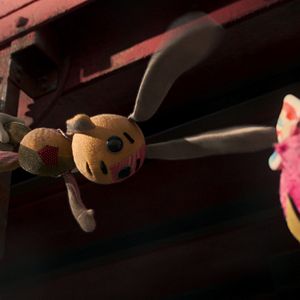 Photo Inoubliable Ollie