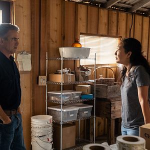 Photo Dermot Mulroney