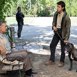 Photo Francis Lorenzo