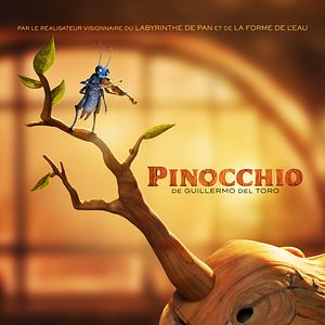 Photo Pinocchio par Guillermo del Toro