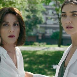 Photo Le Chemin de l'olivier