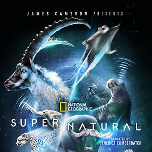 Photo Les pouvoirs extraordinaires de la nature