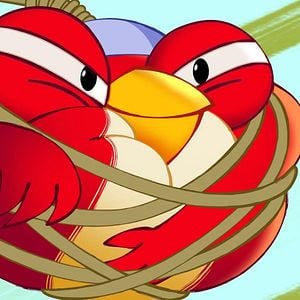 Photo Angry Birds : Un été déjanté