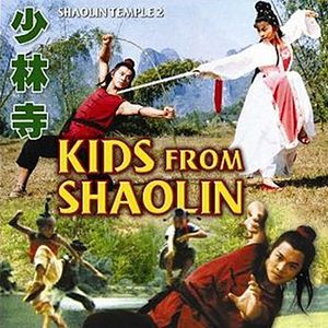 Photo Le temple de Shaolin 2 - Les enfants de Shaolin