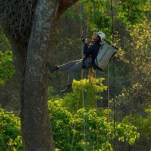 Photo Les aventures extraordinaires de Bertie Gregory