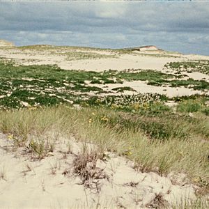 Photo Geographies Of Solitude