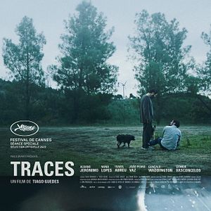 Photo Traces