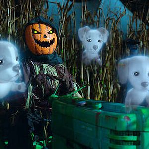 Photo Phantom Pups : En chair et en os ?