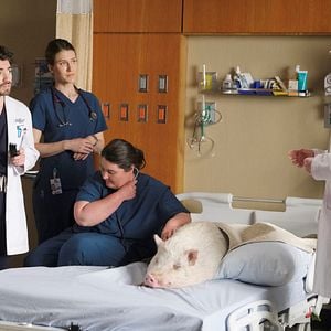 Photo Freddie Highmore