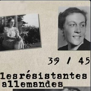 HOPUT Lot De 1 Relais Automobile étanche 60/80 A 12 V Avec Queue De Cochon, 5 Broches, Fils De Cuivre étamé Très Résistants 12 AWG, Relais Marins Pour Bateaux, Ventilateurs, Voitures