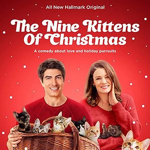 Photo Neuf chatons pour Noël