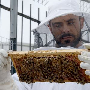 Photo Les pieds sur Terre avec Zac Efron