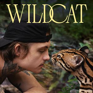 Photo Wildcat