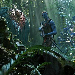 Photo Avatar : la voie de l'eau