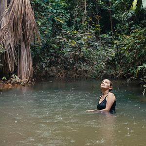 Photo La forêt amazonienne : notre terre