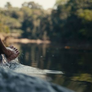 Photo La forêt amazonienne : notre terre