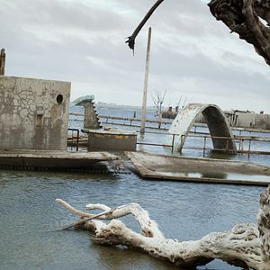 Photo Slaughterhouses of Modernity