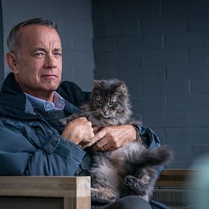 Photo Tom Hanks