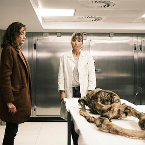 Photo Les disparus de la forêt noire