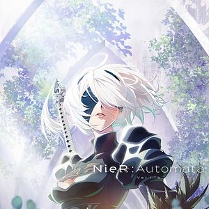 Photo NieR:Automata Ver1.1a