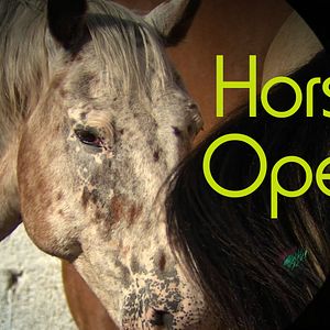 Photo Horse Opera