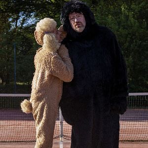 Photo Canis Familiaris