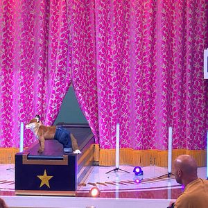 Photo LOL : Qui rit, sort !