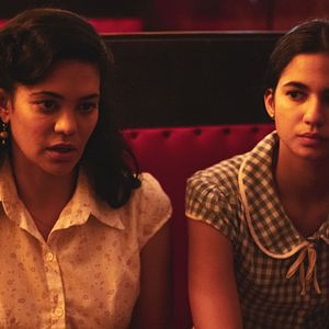 Photo Les larmes des papillons