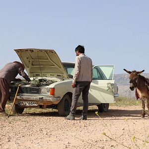 Photo Hadi Mohaghegh