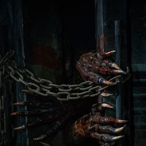 Photo The Lair