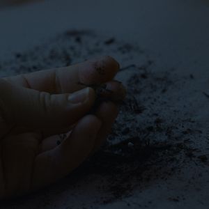 Photo Midnight Skin