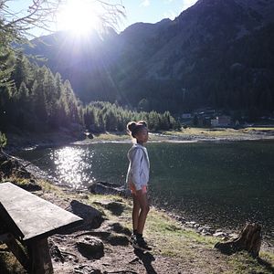 Photo Lassie - Ein neues Abenteuer