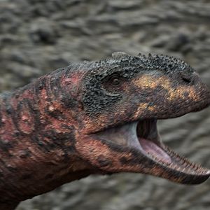 Photo Planète préhistorique