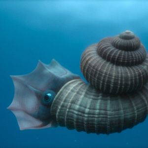 Photo Planète préhistorique