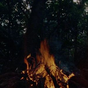 Photo Solos