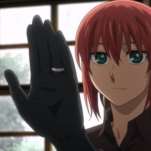 Photo The Ancient Magus' Bride