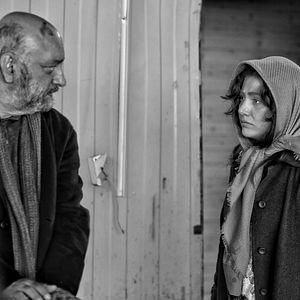Photo Baran Kosari