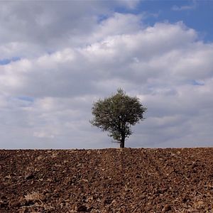 Photo Retour à la terre