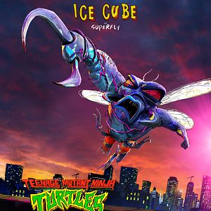 Photo Ninja Turtles: Teenage Years