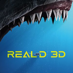 Photo En eaux très troubles