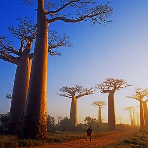 Photo Altaïr Conférences - Le tour du monde en courant