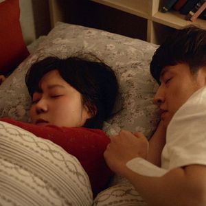 Photo When the camelia blooms