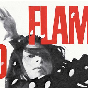 Photo La Singla, prodige du flamenco