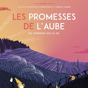 Photo Les Promesses de l'aube - Des vignerons face au gel